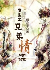 重生之兄弟情深/重生之商界風雲