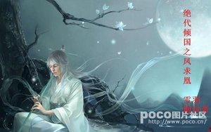 倾国凤求凰