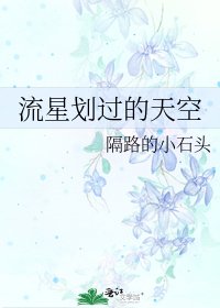 流星划过的天空