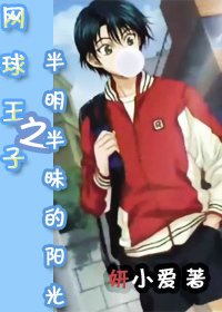 （网王同人）网球王子之半明半昧的阳光