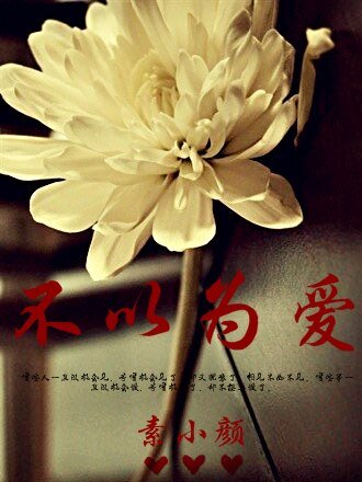 不以为爱（高干）